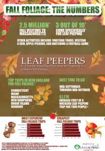 The Numbers Behind Fall Foliage Infographic Infographic Database