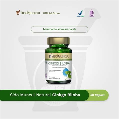 Jual Sido Muncul Herbal Ginkgo Biloba Kapsul Secara Tradisional