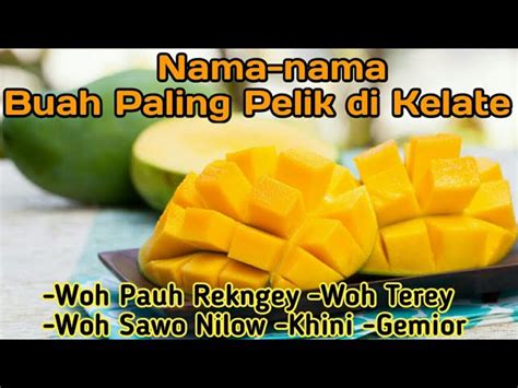 Buah Buahan Pelik