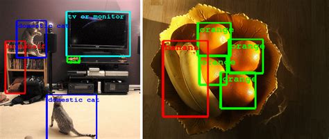 Multiple Objects Classification Opencv Q A Forum