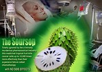 Image result for soursop kills cancer