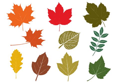 Fall Leaves Vector Pack 51221 Vector Art At Vecteezy