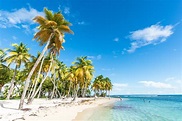 Séjour Guadeloupe, Le plus beau des îles - pour le bonheur des petits ...