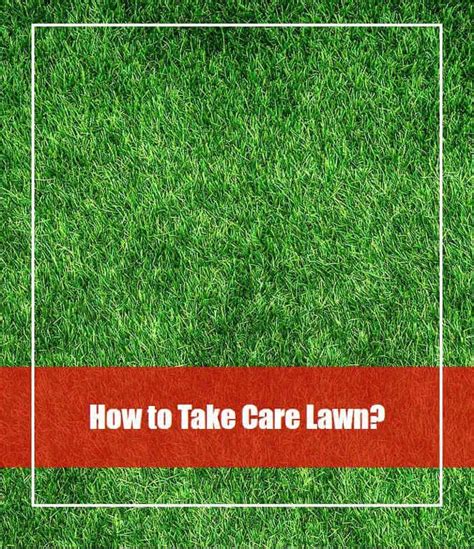 Care Calendar Start Writing Lawn Care Beginners Take That Lawn