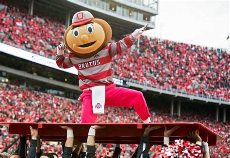 What Exactly Is A Buckeye And Why Is It Ohio States Mascot