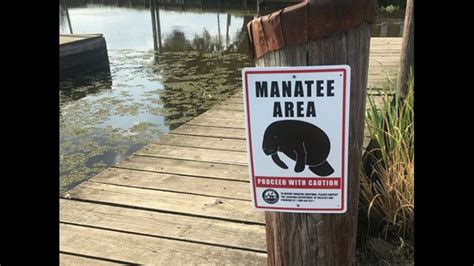 Manatee Area Signs Are Being Spotted By Waterways