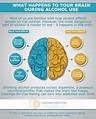 What Happens to Your Brain During Alcohol Use - Arizona Addiction ...