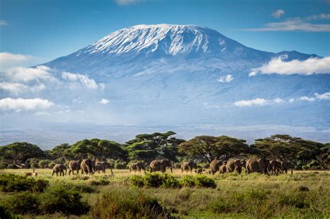 Things To Know About Kilimanjaro