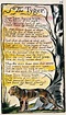 awesome William Blake's The Tyger. So special, this is... Best Quotes ...
