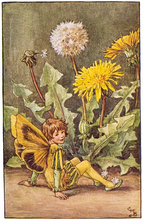 Illustration For The Dandelion Fairy From Flower Fairies Of The Spring