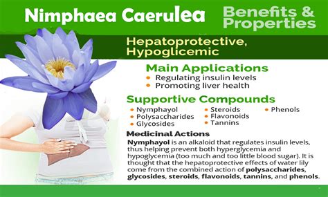 blue lotus flower nymphaea caerulea dried organic sex stimulant herbal drink tea ebay