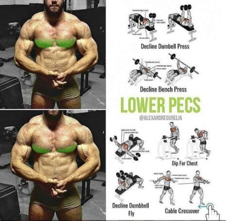 Exercises For Every Part Of The Chest Videos Guides Weighteasyloss