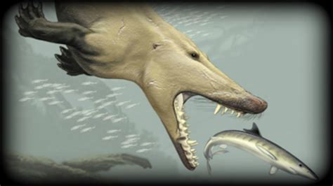Prehistoric Beasts Ambulocetus Documentary The Walking Whale