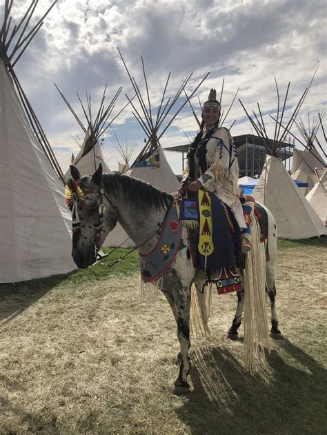 Pendleton Round Up Nez Perce Cayuse Umatilla Tribes Appaloosa Tipi