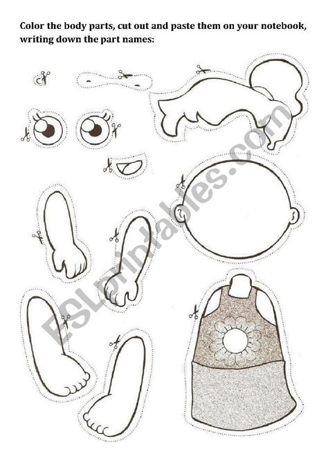 Body Parts Cut And Paste Worksheet Free
