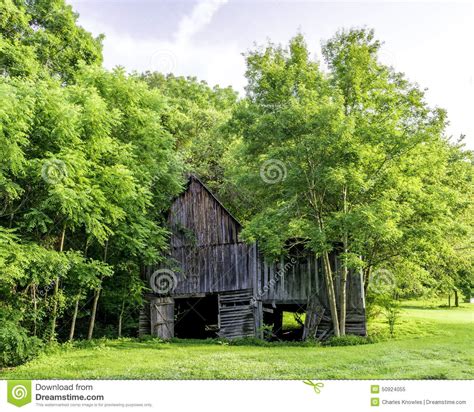 Alabama Wood Barn Hidden In The Woods Stock Image Image Of Nature