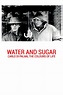 Water and Sugar: Carlo Di Palma, the Colours of Life (2016) - Posters ...