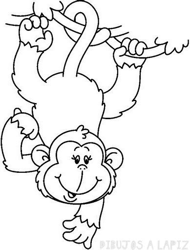 ᐈ Dibujos De Monos【top】monos Lindos Y Faciles