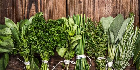 6 Essential Herbs To Grow For A Flavor Filled Kitchen Herb