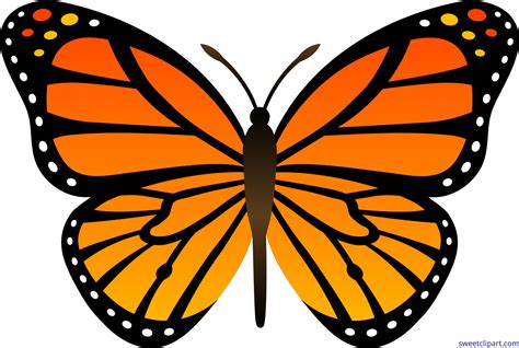 Monarch Butterfly Printable Clip Art Library Images And Photos Finder