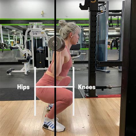 Muscles Used In The Squat Complete Guide PowerliftingTechnique Com