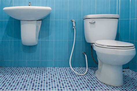 10 Best Flushing Toilet Of 2021 Recommended By Experts