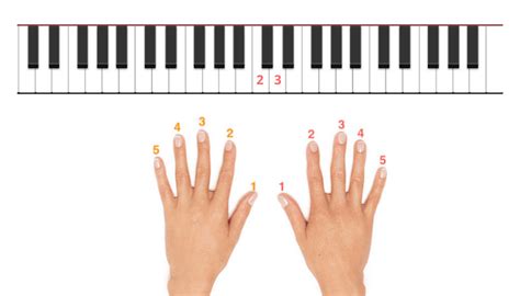 ¿cómo Aprender La Colocación Correcta De Los Dedos Del Piano La