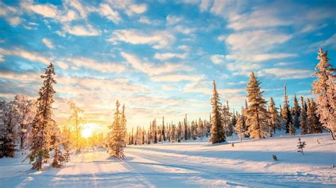 Discover Lapland By Tui Uk