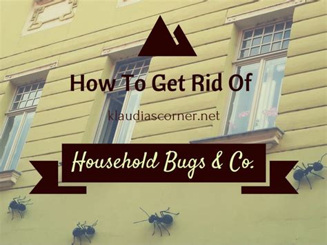 Due to its food habits the household casebearer is a potential household pest. Pest Control - How To Get Rid Of Common Household Bugs & Co.