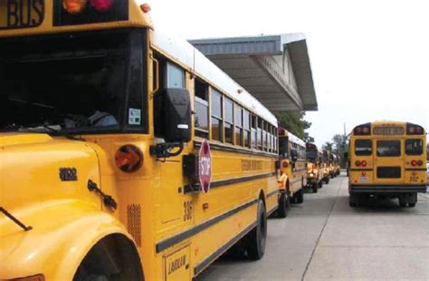 Voters Change Shape Of Terrebonne School Board The Times Of Houma