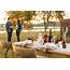 How To Host An Elegant Outdoor Dinner Party With A Tiny Home  Clayton Blog