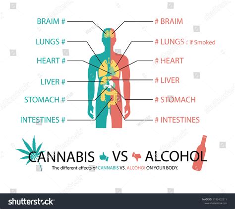 Different Effects Cannabis Vs Alcohol On Stock Vector Royalty Free 1182402211 Shutterstock