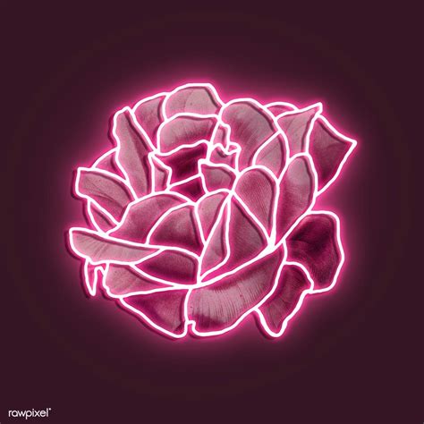 Download Premium Illustration Of Neon Pink Rose Mockup 2254123 Pink