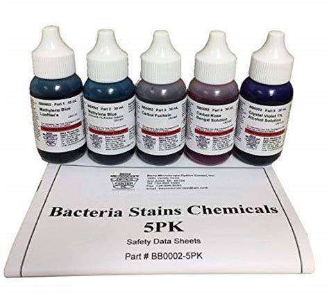 Bacteria Stains Kit 5 30ml Bottles For Simple Staining Bb002 Set