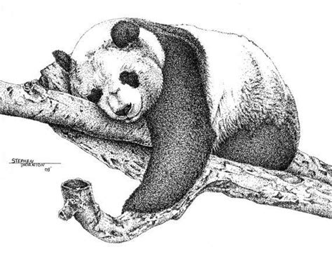 The pen and ink experience is a comprehensive drawing course designed to guide absolute beginners to a level of producing professional quality pen and ink drawings. Pin on Artwork reference