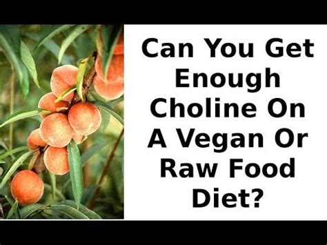 Should you take a vegan choline supplement? Can You Get Enough Choline On A Vegan Or Raw Food Diet ...