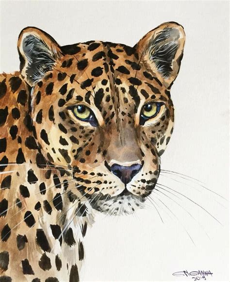 Ceylon Leopardbig Spotted Cat Portraitwild Animal Original Watercolor