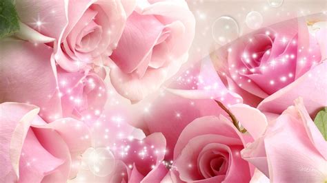 Pink Roses Backgrounds Full Hd Pictures Pink Flowers Wallpaper