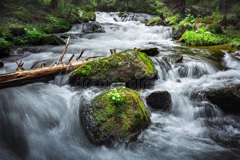 Beauty Waterfall On Mountain Stock Photo Image Of Green Rock 252608168