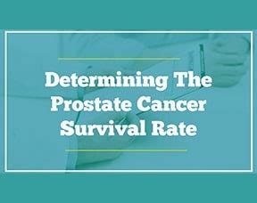 Determining The Prostate Cancer Survival Rate Prostate Cancer