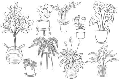 Dibujos De Plantas Para Colorear