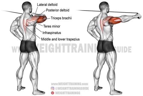 Pin On Shoulder Exercises