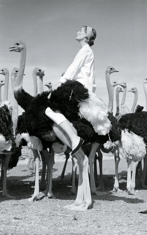 Norman Parkinson The Photographer Who Made Fashion Glam Фотограф
