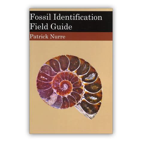 Fossil Identification Field Guide By Patrick Nurre Nt Geology