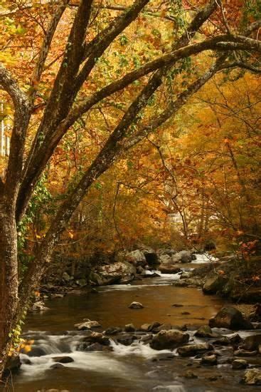 Mountain Creek With Fall Colors Smoky Mountains Tennessee