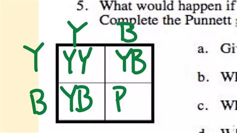 In codominance both alleles are dominant which leads to both alleles being expressed to a certain point. Mendelian Genetics Page #8 - Mr. B go over Incomplete ...