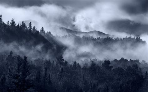 Landscape Nature Mist Forest Sunrise Mountain Clouds Sun Rays