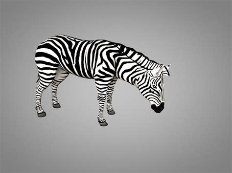 3d Asset Animated Zebra Cgtrader