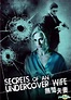 YESASIA: Secrets Of An Undercover Wife (DVD) (Hong Kong Version) DVD ...