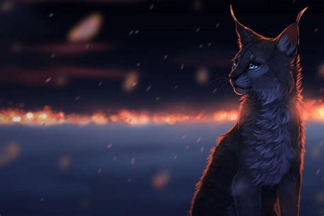 Warrior Cats Wallpaper ·① Download Free Awesome High Resolution